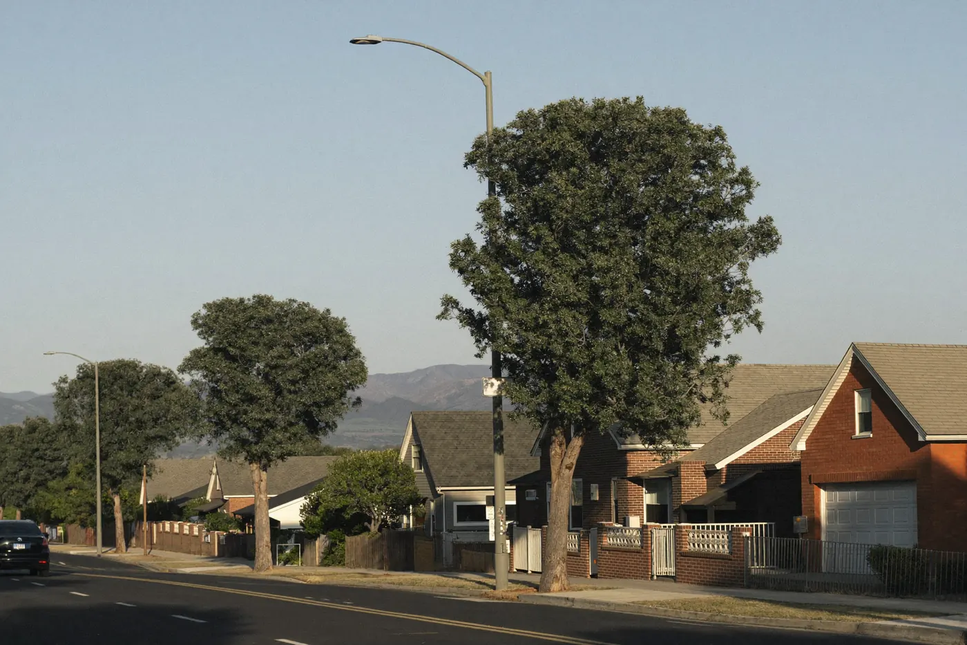 A quiet tree lined residential street in Aurora, Colorado in late afternoon light