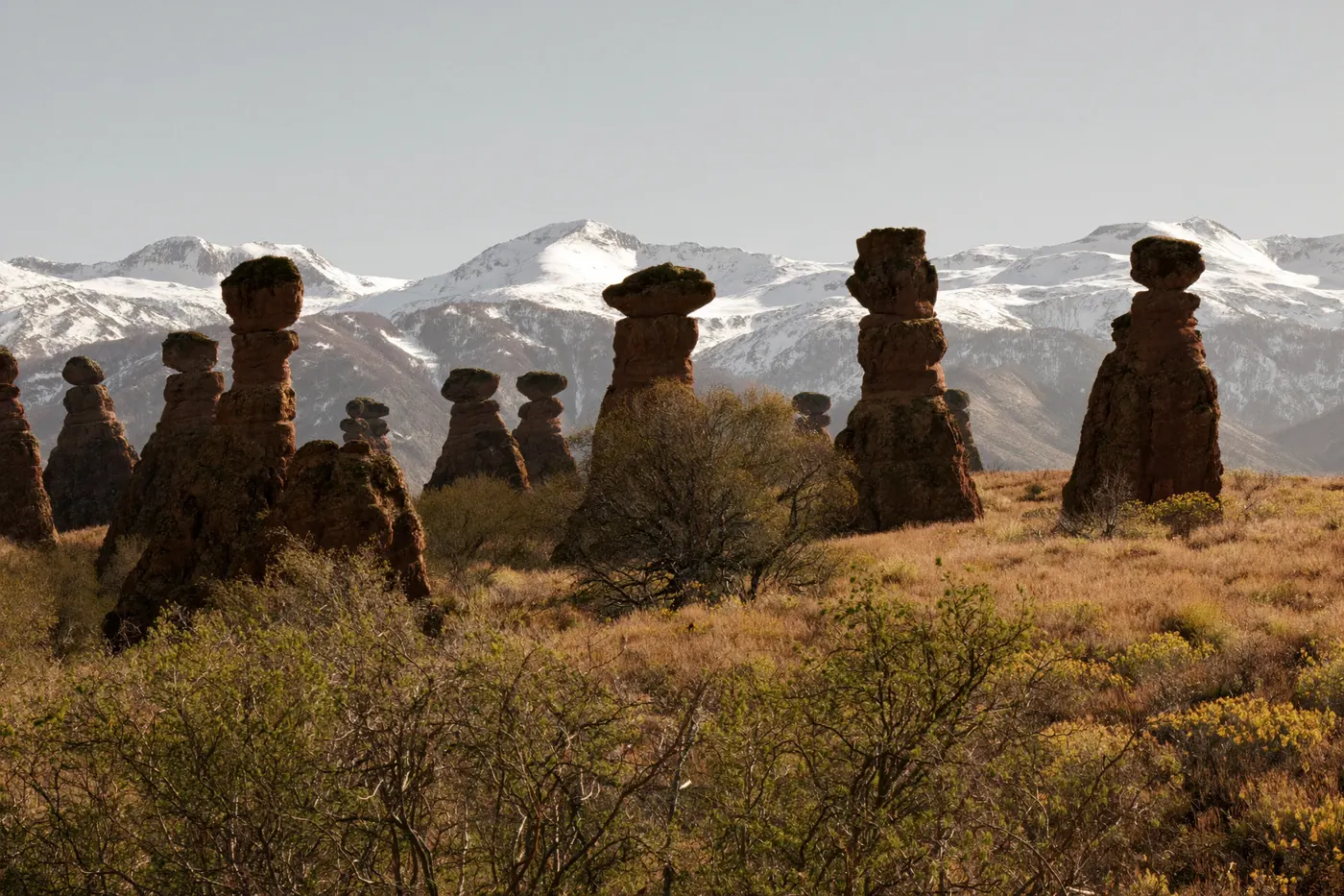 Red rock formations at Garden of the Gods with snow capped Pikes Peak behind them